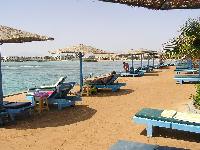 ���� �������