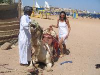 �����  ������ ����� ���