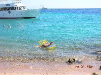 ��������� ����