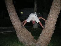 �������-����