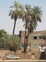 ������ ��������