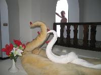 ��������.