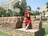 ���� ���� ��������� ��������� �� �������.