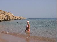 ���� ��������