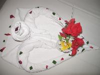 ������ ��� �������� �������� ���..