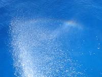 ������ ������, ��������� ������