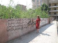 �����, ���-������ �����, ��� ��� ��������?...