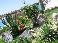 ���������� �������. ������� � ������.