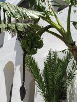 ��� ��� ������ ������.