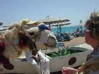 ����� �������!