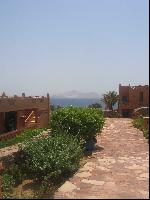 ����� ,����������