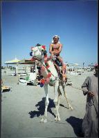 ����� �������� �������