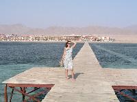 ���� ��������� ��� �������