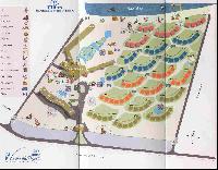 ����� ����� Long Beach