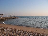 �������� ����