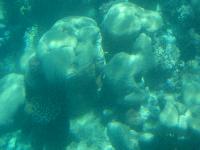 ��������� ���