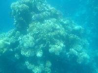 ��������� ���