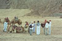 "����� � ������" - ��� ����������� ���?