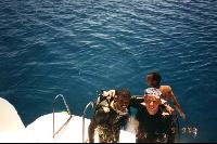 ����� ����������