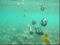 Iberotel Makadi Saraya Suites Resort & Family Resort