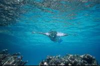 � ������ ��� ���������