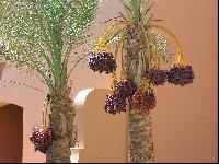 ��������� ������