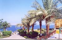 ����� � ���� � ����� ��������