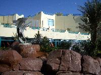 ������� � ����� ���� �������