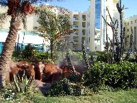 ����� ���� �������