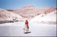 ������ ��������