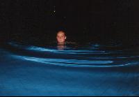 night pool