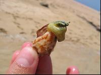 ������ :-)