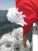 �������� � ����