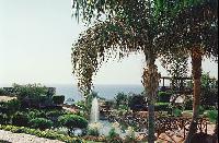 ��� �� ����