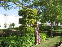 � ����� ���� ��� ���� ������