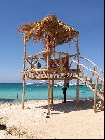 �. ������