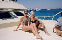 �������� �������� ����