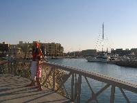 ��� ���� - ������