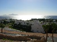 ������ ����