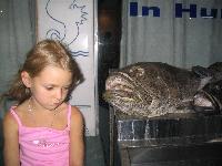 ��������� � ��������