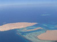 ����� �����