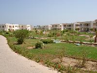 ������ ���� �� ����� �����