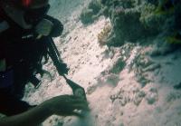 � ��� � ��� �����