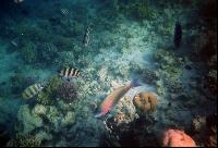 �������