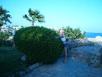 ��������������!