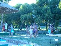 ���� ������