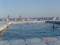 �������-������