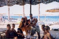 ���� Sea Gull