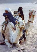 ���������� �����