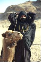 ������� � ���������